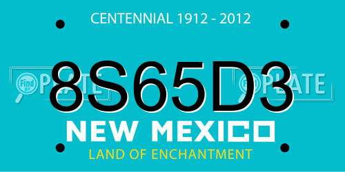 8S65D3 New Mexico License Plate