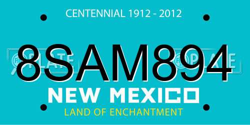 8SAM894 New Mexico License Plate
