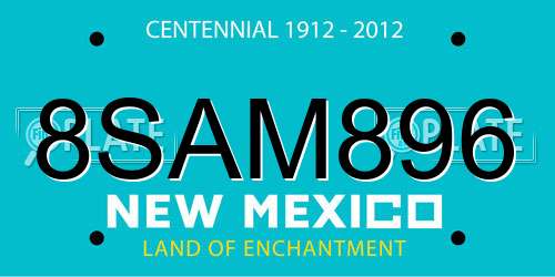 8SAM896 New Mexico License Plate