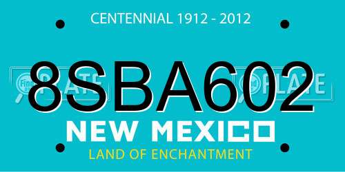 8SBA602 New Mexico License Plate