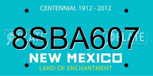 8SBA607 New Mexico License Plate