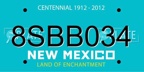 8SBB034 New Mexico License Plate
