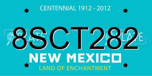 8SCT282 New Mexico License Plate