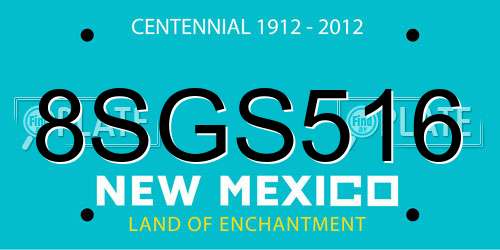 8SGS516 New Mexico License Plate