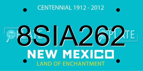 8SIA262 New Mexico License Plate