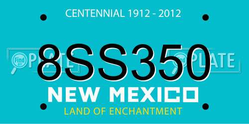 8SS350 New Mexico License Plate