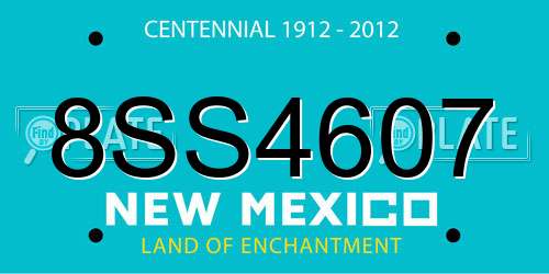 8SS4607 New Mexico License Plate