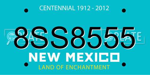 8SS8555 New Mexico License Plate