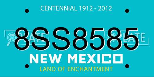 8SS8585 New Mexico License Plate