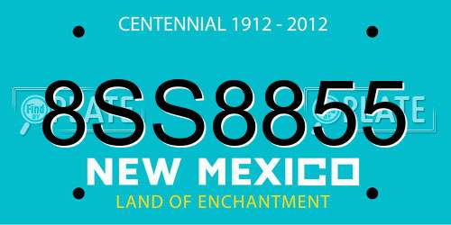 8SS8855 New Mexico License Plate