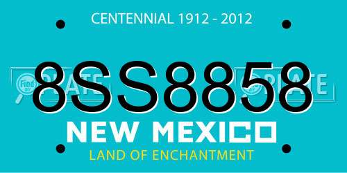 8SS8858 New Mexico License Plate