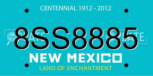8SS8885 New Mexico License Plate