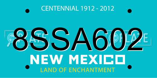 8SSA602 New Mexico License Plate