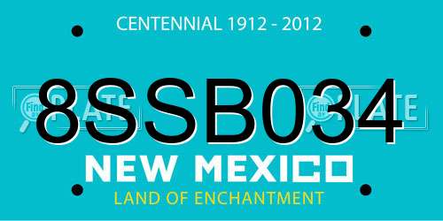 8SSB034 New Mexico License Plate