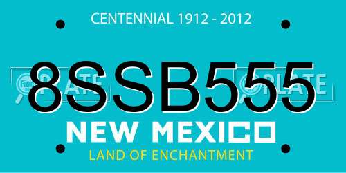 8SSB555 New Mexico License Plate