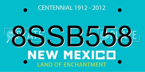 8SSB558 New Mexico License Plate