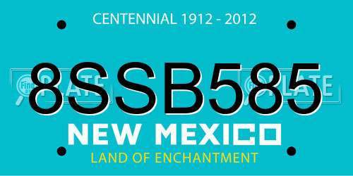 8SSB585 New Mexico License Plate
