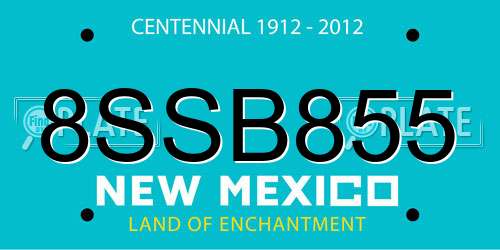 8SSB855 New Mexico License Plate