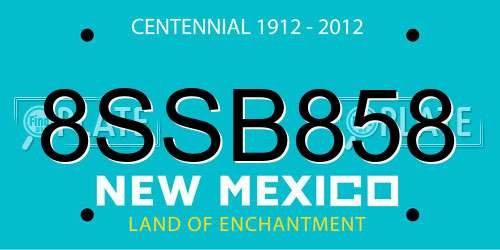 8SSB858 New Mexico License Plate
