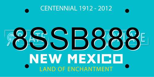 8SSB888 New Mexico License Plate