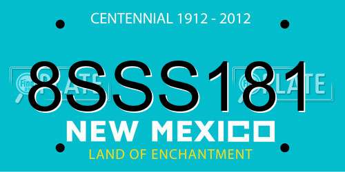 8SSS181 New Mexico License Plate