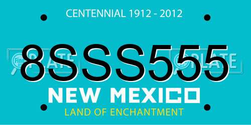 8SSS555 New Mexico License Plate