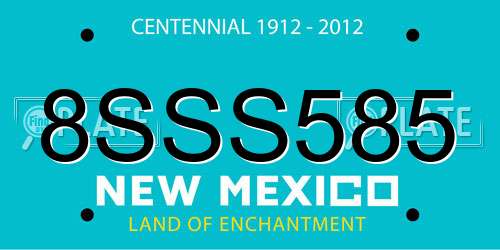8SSS585 New Mexico License Plate