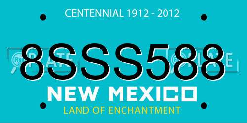 8SSS588 New Mexico License Plate