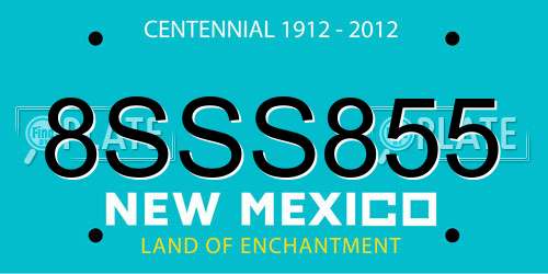 8SSS855 New Mexico License Plate