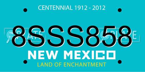 8SSS858 New Mexico License Plate