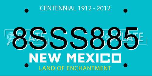 8SSS885 New Mexico License Plate