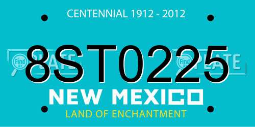 8ST0225 New Mexico License Plate