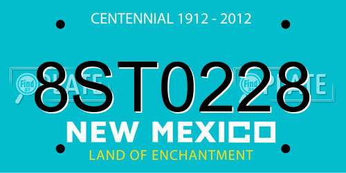 8ST0228 New Mexico License Plate