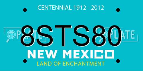 8STS80 New Mexico License Plate