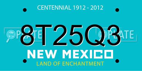 8T25Q3 New Mexico License Plate