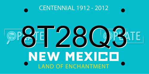 8T28Q3 New Mexico License Plate