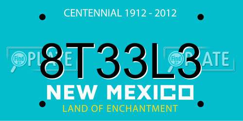 8T33L3 New Mexico License Plate