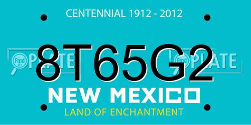 8T65G2 New Mexico License Plate