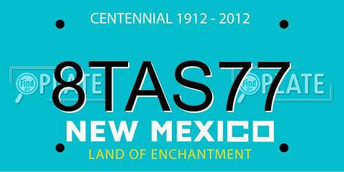 8TAS77 New Mexico License Plate