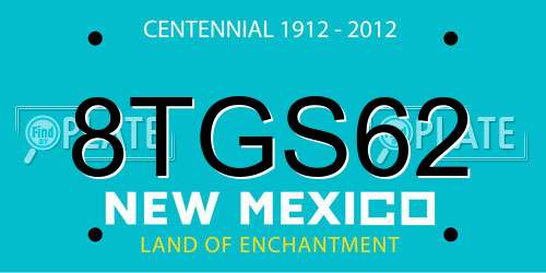 8TGS62 New Mexico License Plate