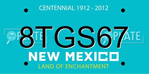 8TGS67 New Mexico License Plate