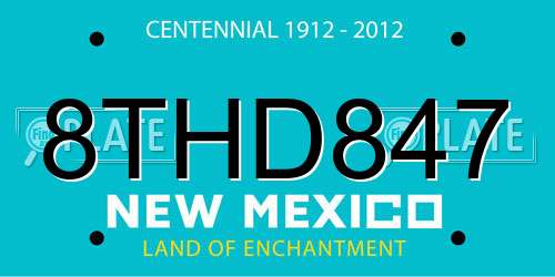 8THD847 New Mexico License Plate
