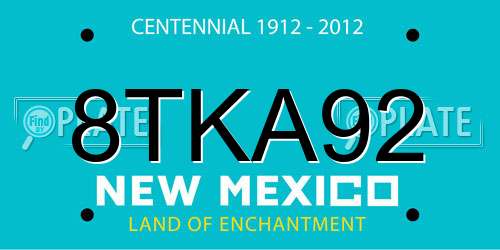 8TKA92 New Mexico License Plate