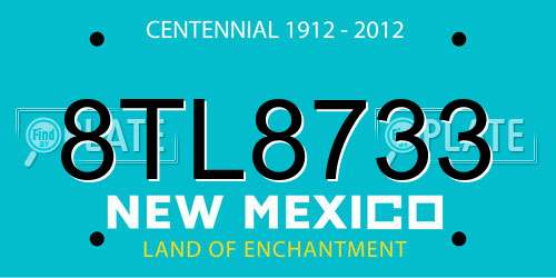 8TL8733 New Mexico License Plate