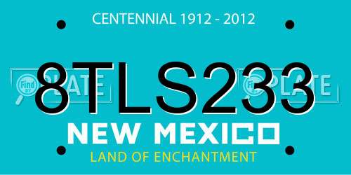 8TLS233 New Mexico License Plate