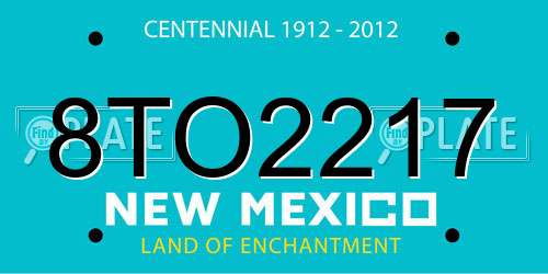 8TO2217 New Mexico License Plate