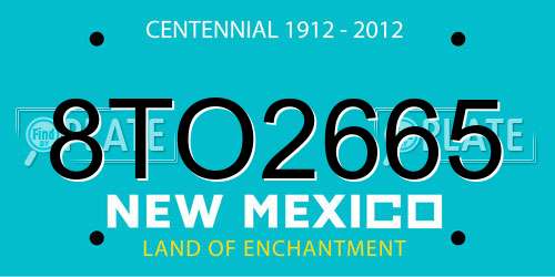 8TO2665 New Mexico License Plate