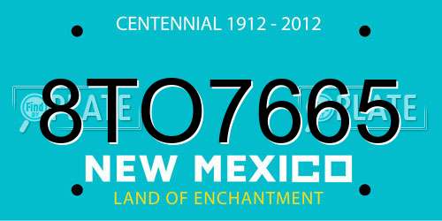 8TO7665 New Mexico License Plate