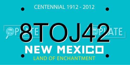8TOJ42 New Mexico License Plate