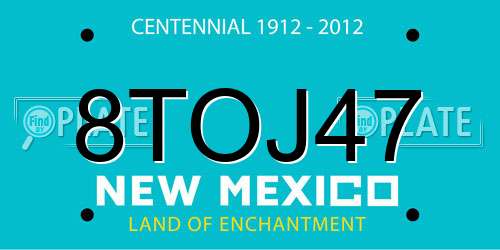 8TOJ47 New Mexico License Plate
